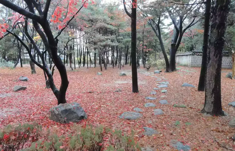 Dosan Park 도산 공원 4