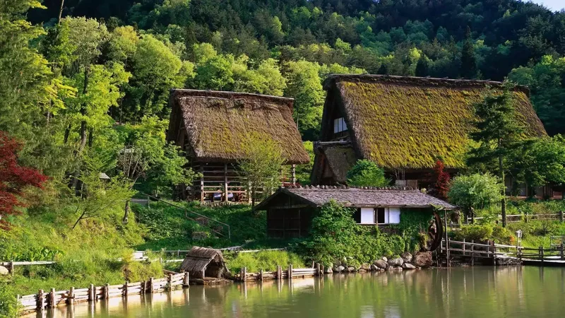 japon çiftlik evi
