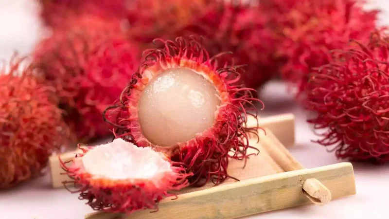 红毛丹 rambutan